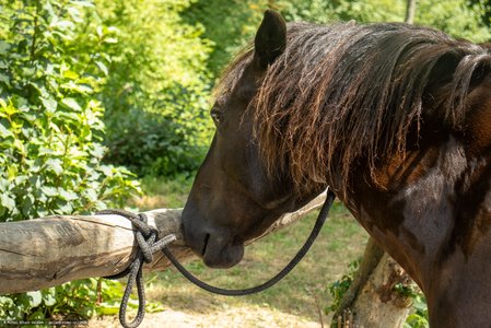 20250706-113100-8383.jpg (1095 kB)