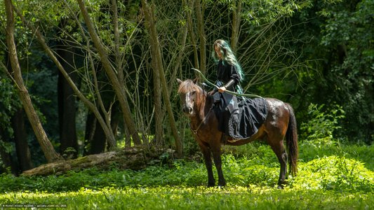 20250706-114912-8390.jpg (989 kB)