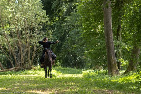 20250706-115403-8462.jpg (1362 kB)