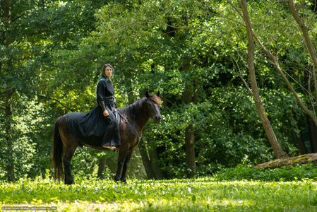 20250706-115643-8505.jpg (1238 kB)