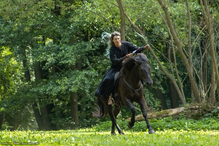 20250706-115720-8512.jpg (894 kB)