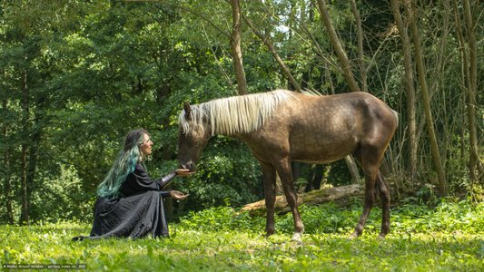 20250706-123510-8912.jpg (1005 kB)