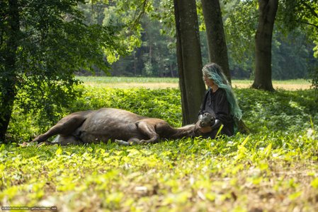 20250706-123658-8927.jpg (905 kB)