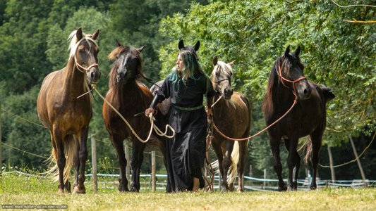 20250706-125045-8987.jpg (937 kB)