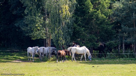 20250814-143114-9041.jpg (990 kB)