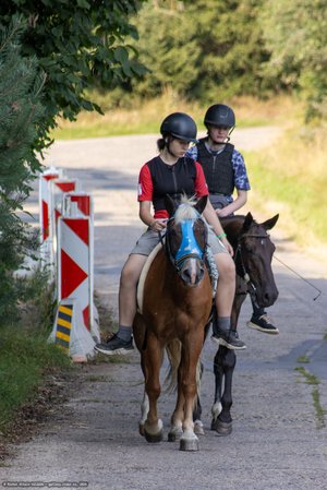 20250814-164412-9044.jpg (787 kB)