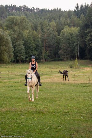 20250814-191700-9105.jpg (932 kB)