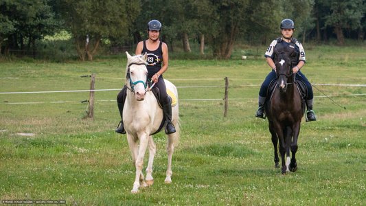 20250814-191957-9115.jpg (1009 kB)