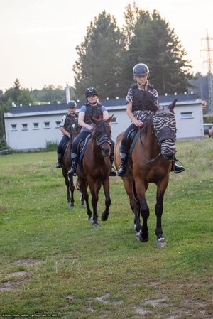 20250814-192410-9131.jpg (912 kB)