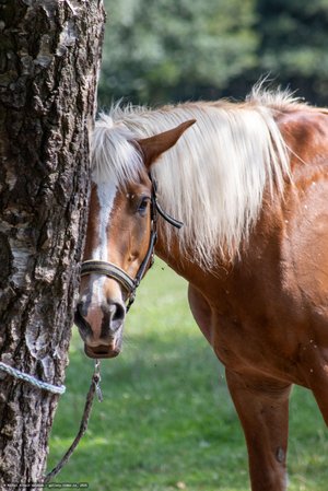 20250814-140727-9017.jpg (706 kB)