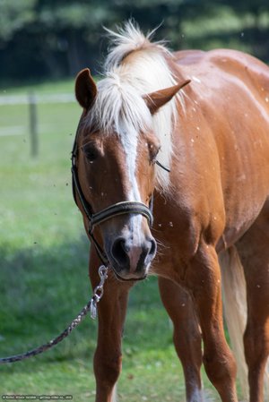 20250814-140814-9024.jpg (484 kB)