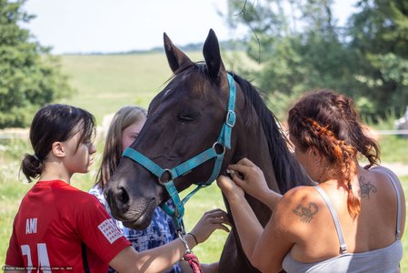 20250814-141050-9034.jpg (655 kB)