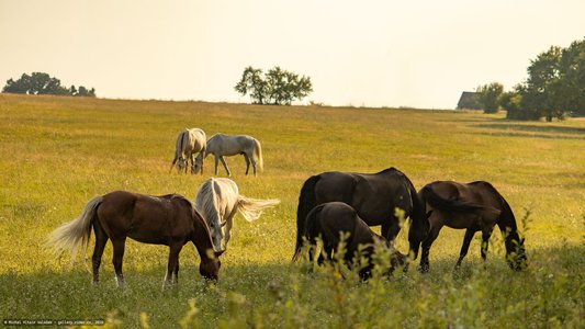 20250814-171038-9058.jpg (732 kB)