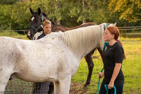 20250814-184857-9068.jpg (880 kB)