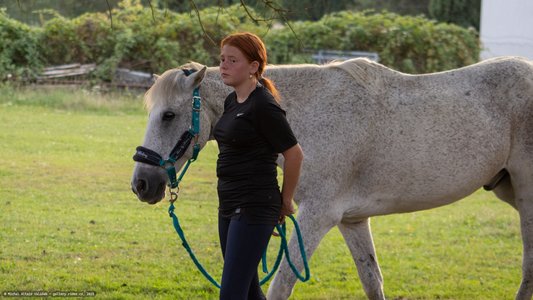 20250814-184951-9074.jpg (648 kB)