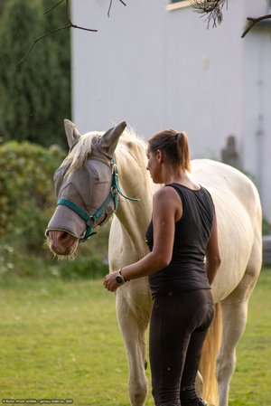 20250814-185033-9078.jpg (703 kB)