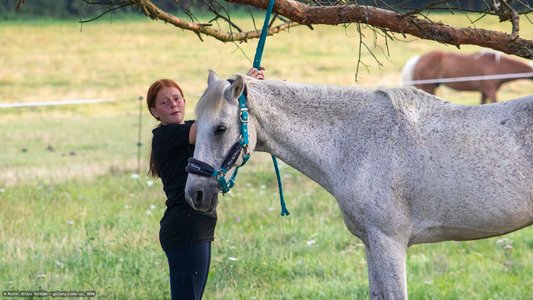 20250814-185129-9080.jpg (797 kB)