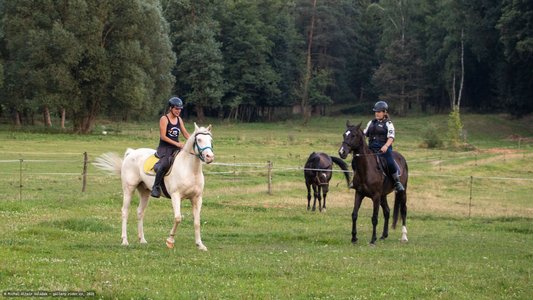 20250814-191908-9107.jpg (895 kB)