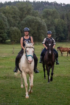 20250814-192008-9120.jpg (805 kB)