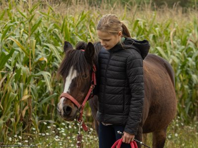 20251002-125647-0095.jpg (762 kB)