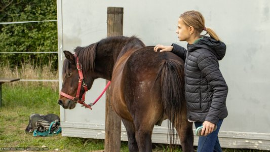 20251002-130028-0126.jpg (599 kB)