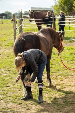 20251002-130642-0128.jpg (1095 kB)