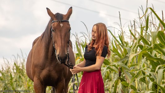 20251002-114120-9287.jpg (532 kB)