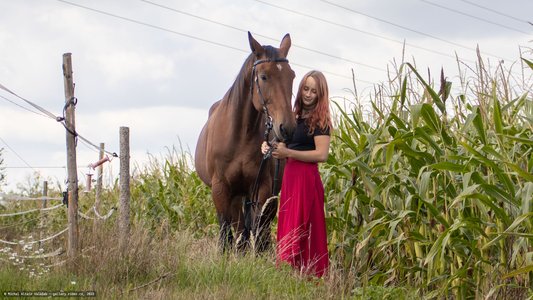 20251002-114315-9296.jpg (823 kB)