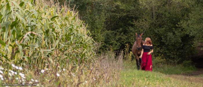 20251002-114725-9368.jpg (694 kB)