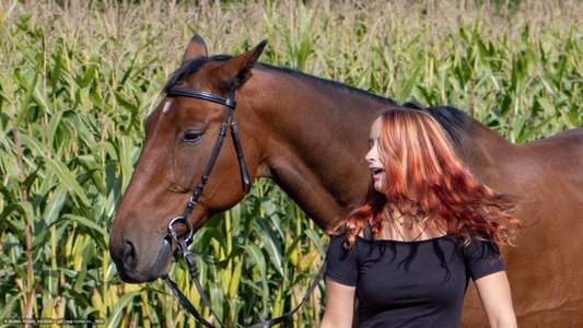 20251002-115730-9537.jpg (779 kB)