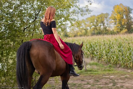 20251002-120752-9662.jpg (873 kB)