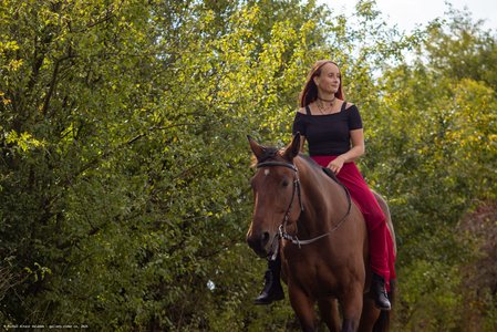 20251002-121223-9737.jpg (1034 kB)