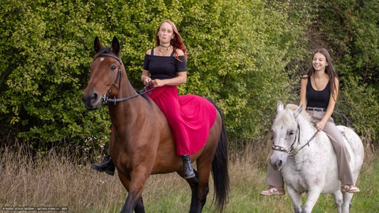 20251002-123014-9761.jpg (798 kB)