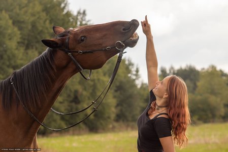 20251002-123947-9961.jpg (393 kB)