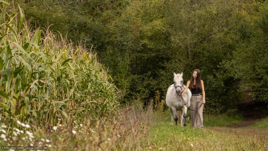 20251002-114954-9423.jpg (980 kB)