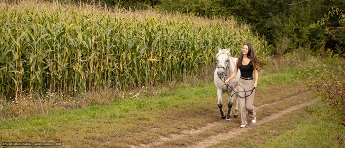 20251002-115928-9593.jpg (995 kB)