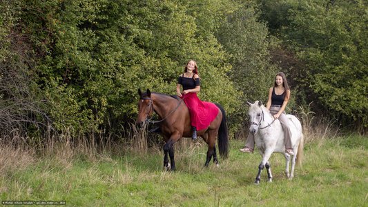 20251002-123008-9755.jpg (1175 kB)