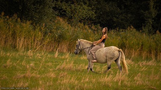 20251002-123213-9782.jpg (846 kB)