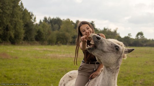 20251002-124253-0006.jpg (399 kB)