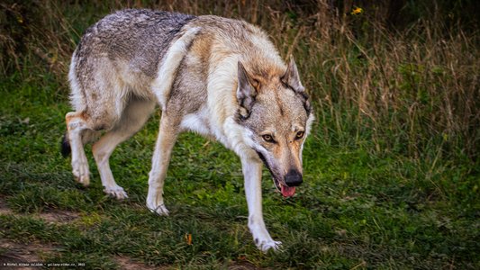 20251002-133240-0138.jpg (834 kB)