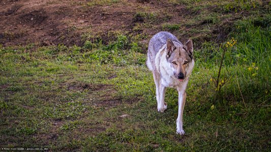 20251002-133619-0148.jpg (1072 kB)