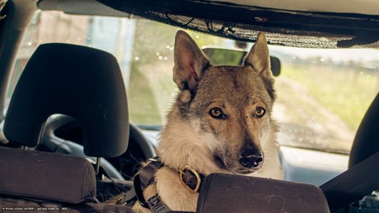 20251002-134712-0153.jpg (574 kB)