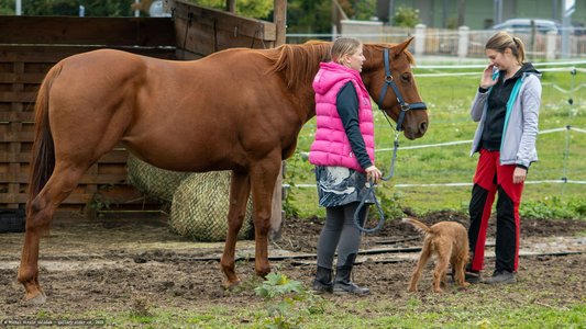 20251011-121309-0173.jpg (821 kB)