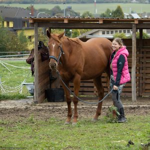 20251011-121505-0182.jpg (1294 kB)