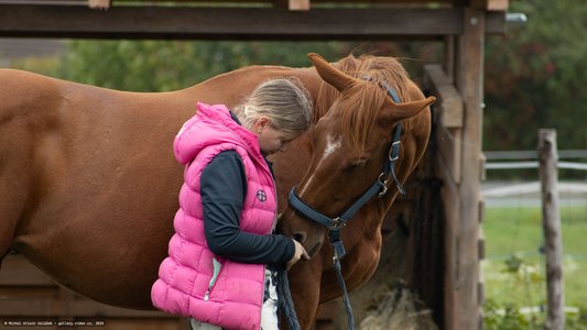 20251011-121556-0185.jpg (482 kB)