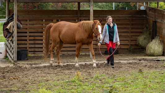 20251011-121739-0187.jpg (1057 kB)