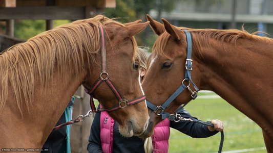 20251011-121750-0190.jpg (672 kB)