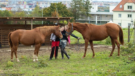 20251011-121817-0195.jpg (1004 kB)