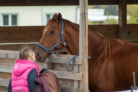 20251011-122150-0202.jpg (706 kB)