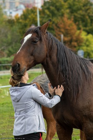 20251011-122226-0205.jpg (648 kB)